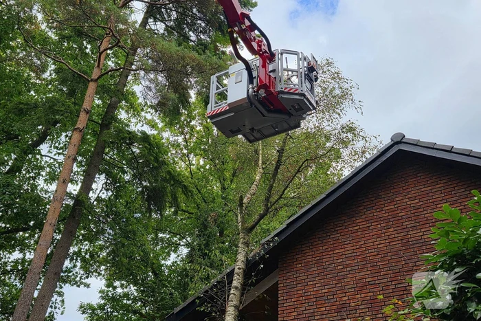 Boom valt op woning door storm