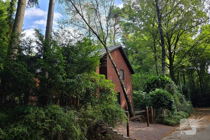 Boom valt op woning door storm