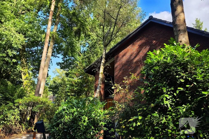 Boom valt op woning door storm
