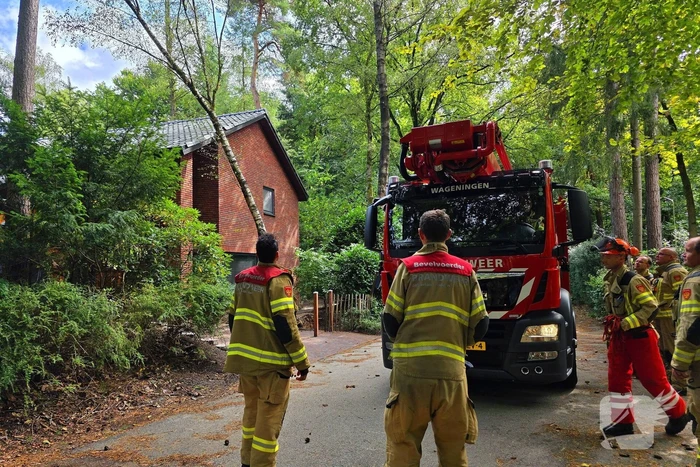 Boom valt op woning door storm