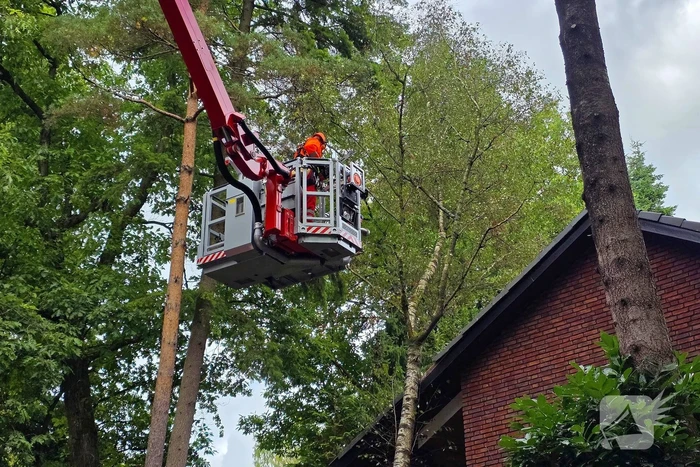 Boom valt op woning door storm