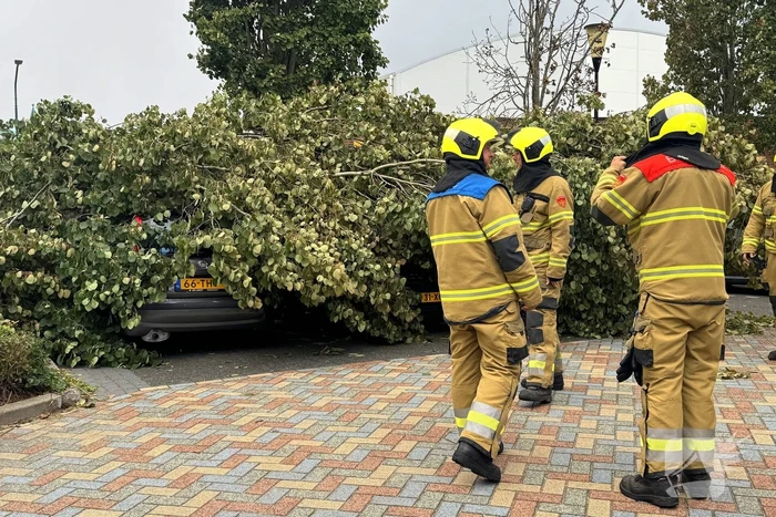 Omgevallen boom beschadigt meerdere auto's