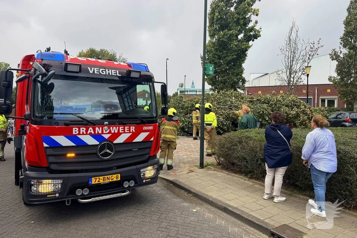 Omgevallen boom beschadigt meerdere auto's