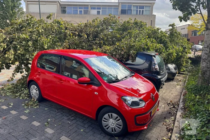 Omgevallen boom beschadigt meerdere auto's