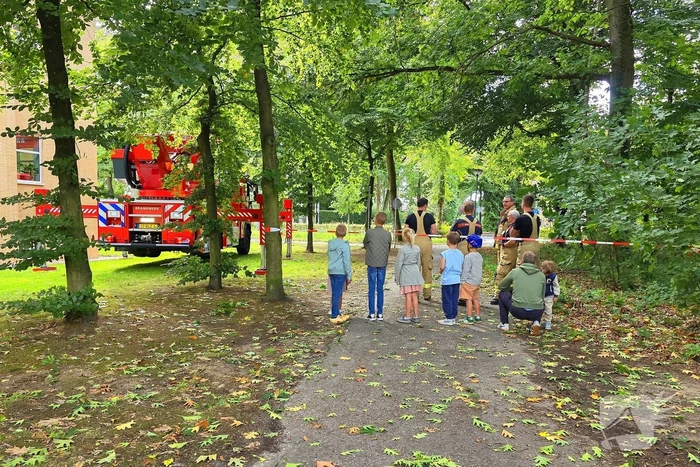 natuur paddenlaantje ede