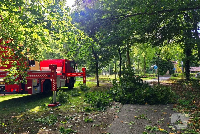 Tak blokkeert fietspad na storm