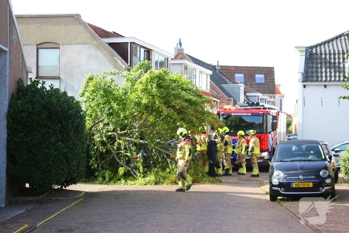 natuur offemweg noordwijk