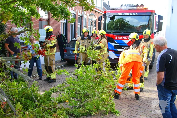 Brandweer in actie na omgewaaide boom
