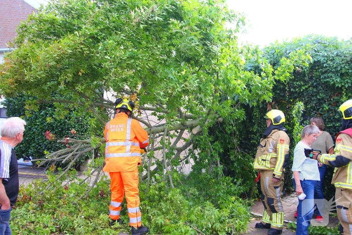 Brandweer in actie na omgewaaide boom