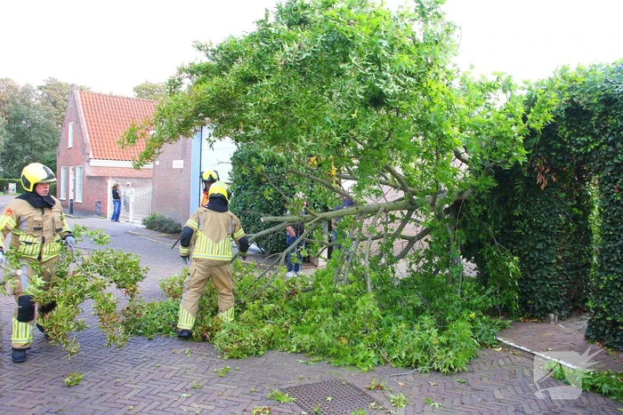 Brandweer in actie na omgewaaide boom