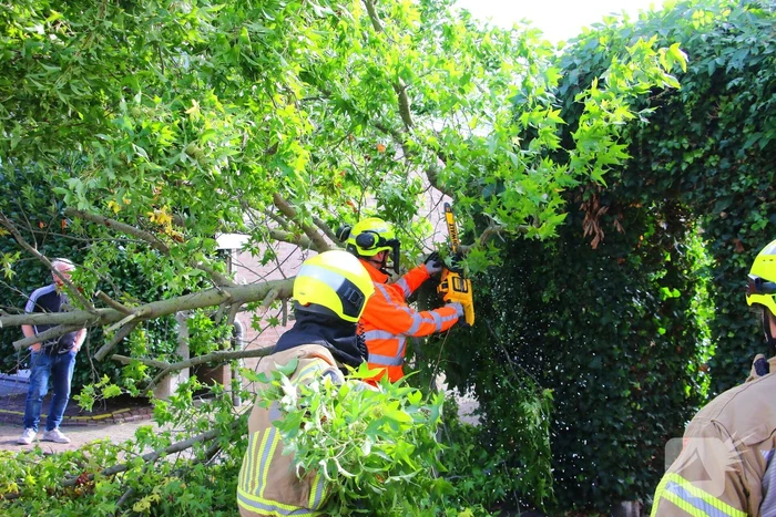 Brandweer in actie na omgewaaide boom