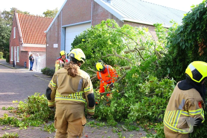Brandweer in actie na omgewaaide boom