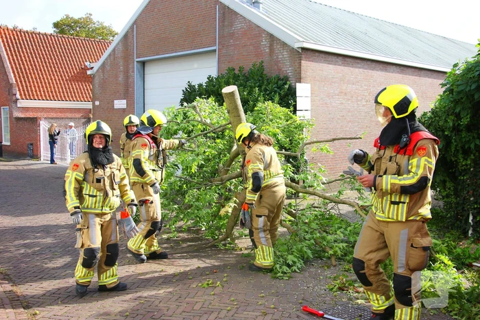 Brandweer in actie na omgewaaide boom