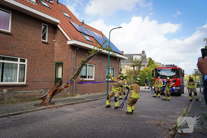 Boom beschadigt auto door storm