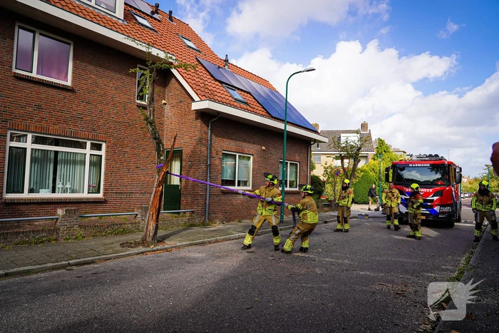 Boom beschadigt auto door storm