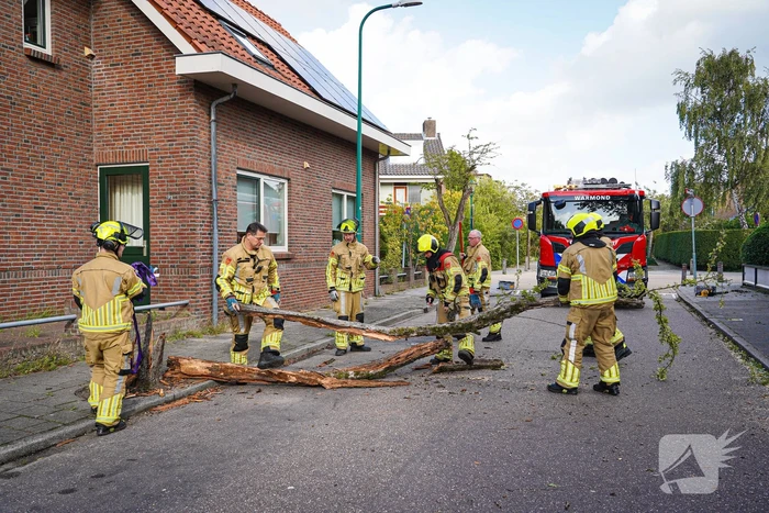 Boom beschadigt auto door storm