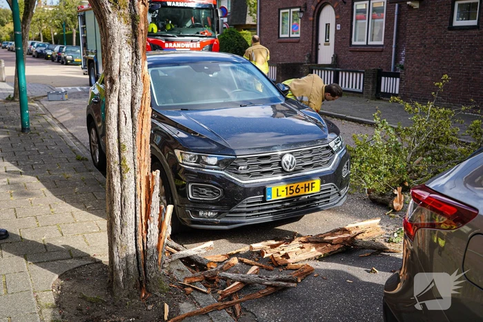 Boom beschadigt auto door storm