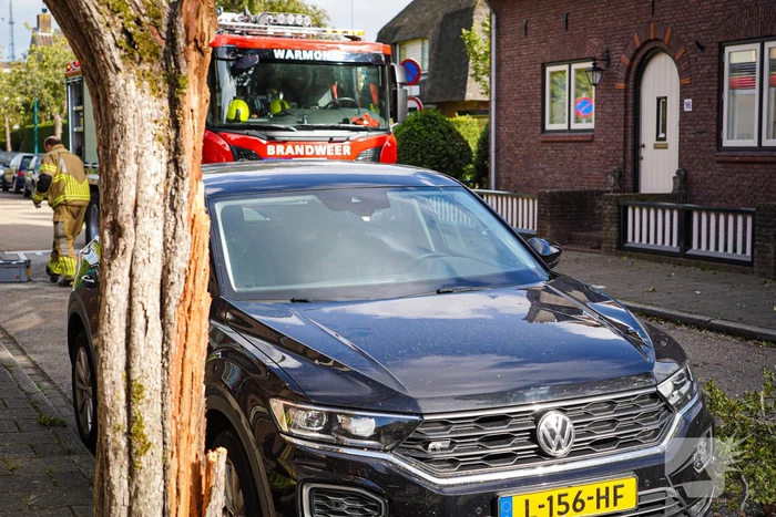 Boom beschadigt auto door storm
