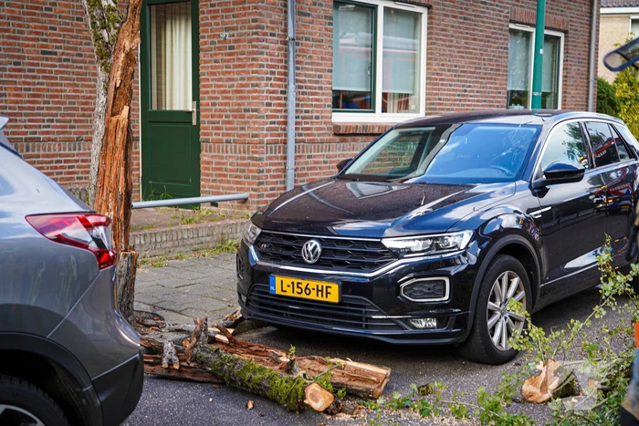Boom beschadigt auto door storm
