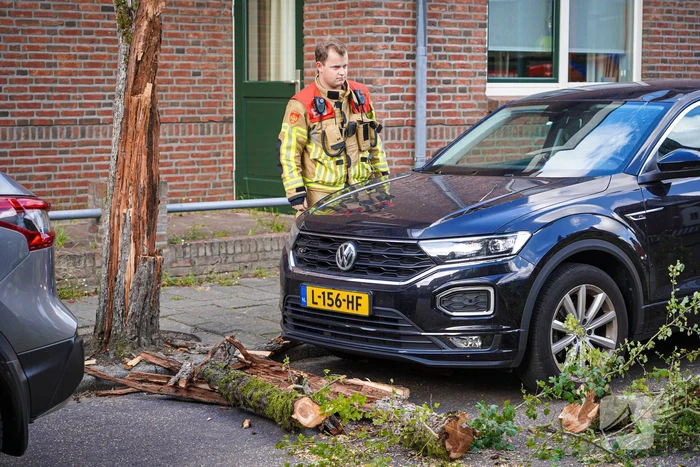 Boom beschadigt auto door storm