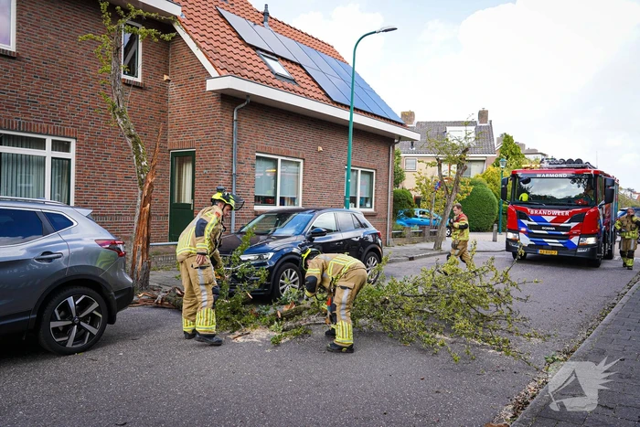 Boom beschadigt auto door storm