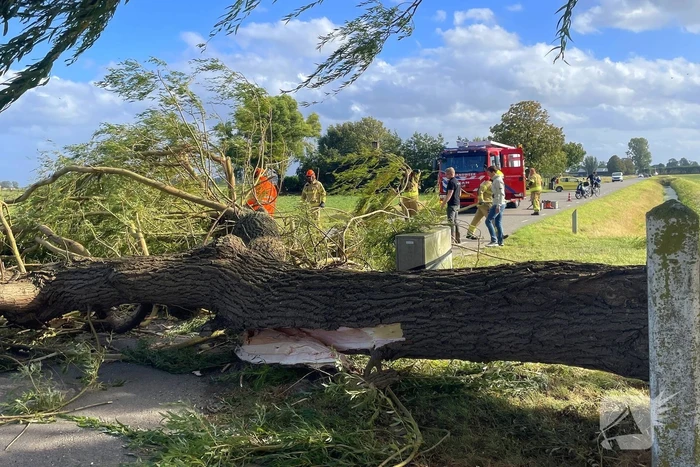 natuur botweg klaaswaal