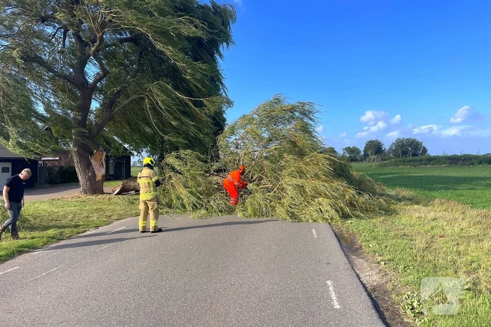 Omgevallen boom leidt tot verkeershinder