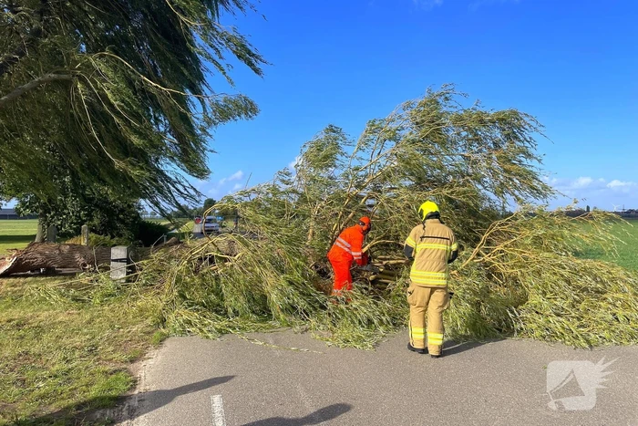 Omgevallen boom leidt tot verkeershinder