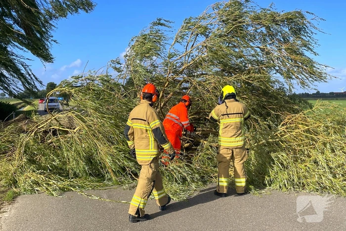 Omgevallen boom leidt tot verkeershinder