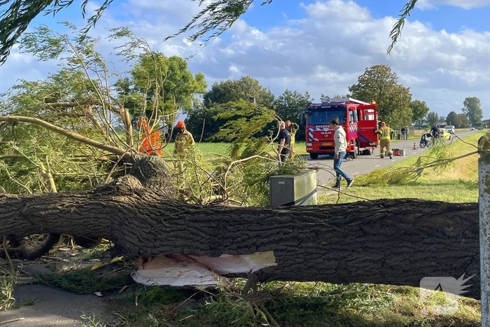 Omgevallen boom leidt tot verkeershinder