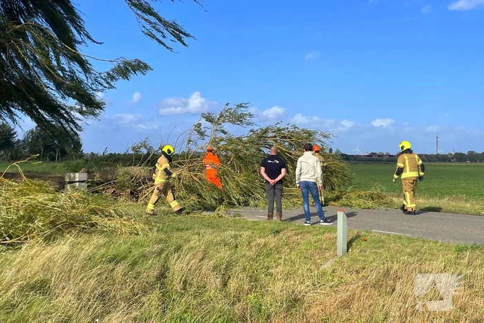 Omgevallen boom leidt tot verkeershinder