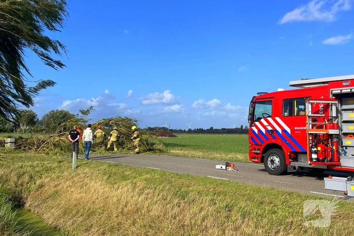 Omgevallen boom leidt tot verkeershinder