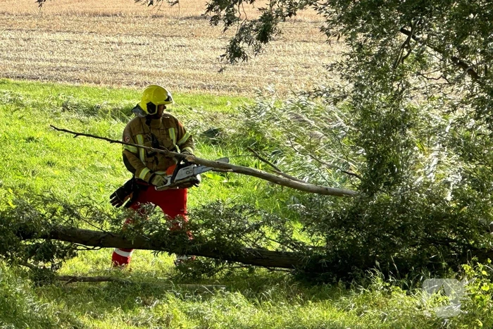 Stormschade zorgt voor afgebroken tak