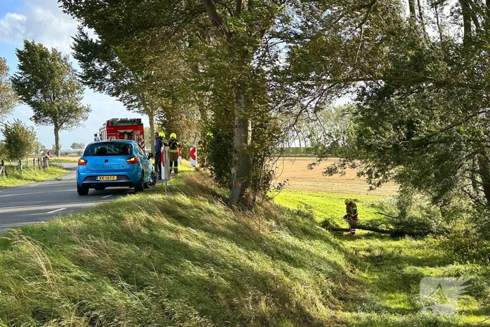Stormschade zorgt voor afgebroken tak