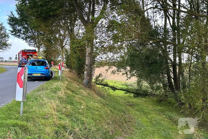 Stormschade zorgt voor afgebroken tak