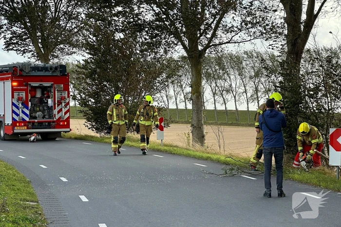 Stormschade zorgt voor afgebroken tak