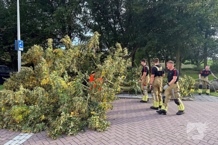 Storm legt boom op weg