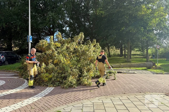 Storm legt boom op weg