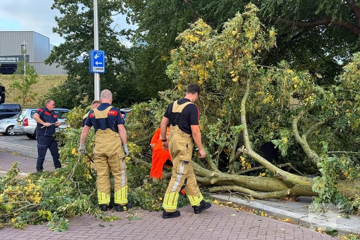 Storm legt boom op weg