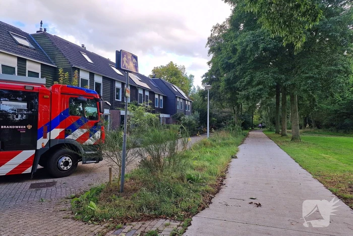 Buurtbewoners alarmeren brandweer om geknakt takje