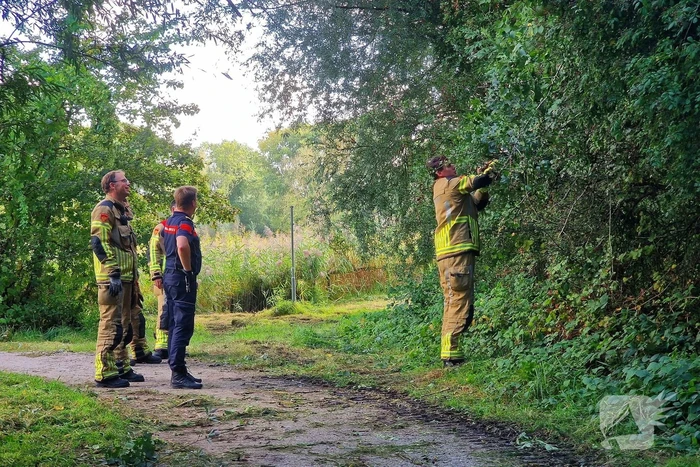 Buurtbewoners alarmeren brandweer om geknakt takje