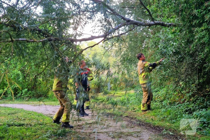 Buurtbewoners alarmeren brandweer om geknakt takje