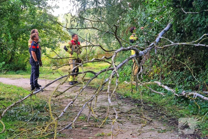 Buurtbewoners alarmeren brandweer om geknakt takje