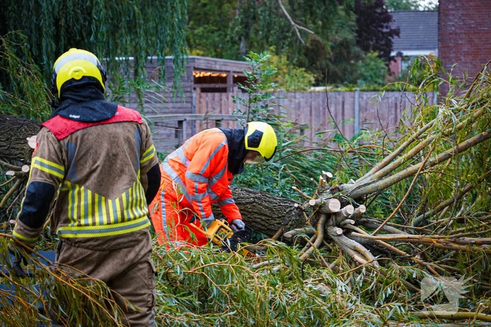 Groot deel van boom belandt in speeltuin