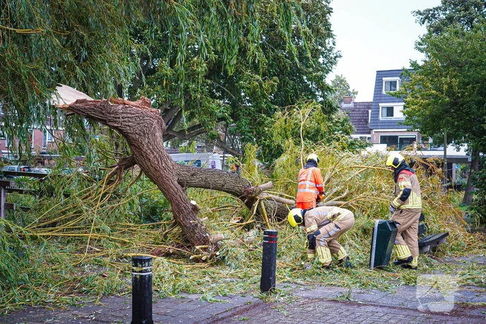 Groot deel van boom belandt in speeltuin
