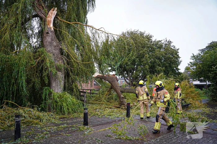 Groot deel van boom belandt in speeltuin