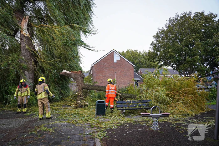 Groot deel van boom belandt in speeltuin