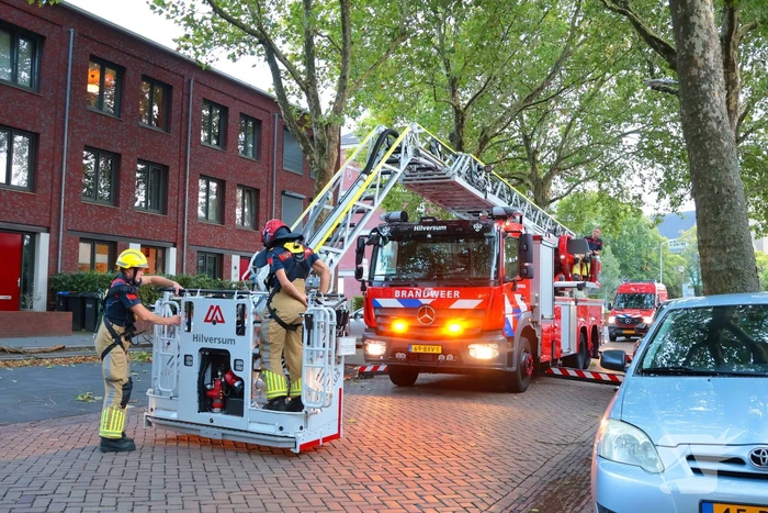 Brandweer verwijdert takken uit boom na natuurincident