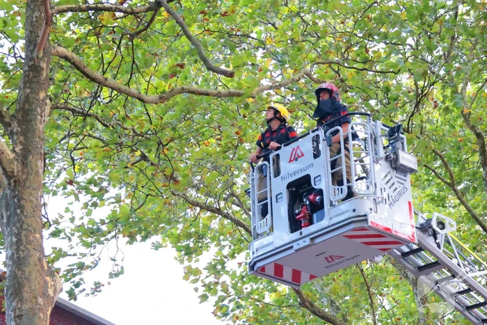 Brandweer verwijdert takken uit boom na natuurincident