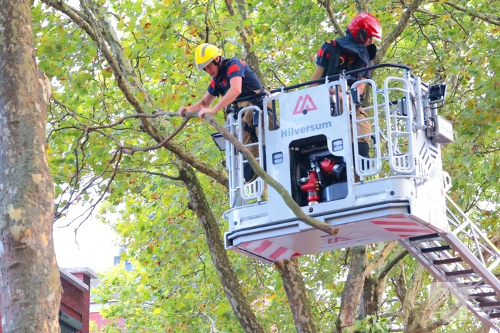 Brandweer verwijdert takken uit boom na natuurincident